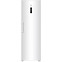 Congélateur armoire HAIER H2F255WSAA