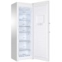 Congélateur armoire HAIER H2F255WSAA